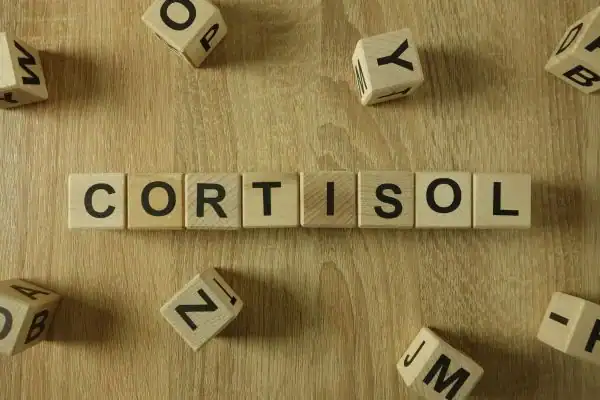 The Hidden Connection: How Stress Shapes Your Fitness and Body Composition 2 Image saying "Cortisol" and how stress Loughborough impacts your wellbeing and bodies shape